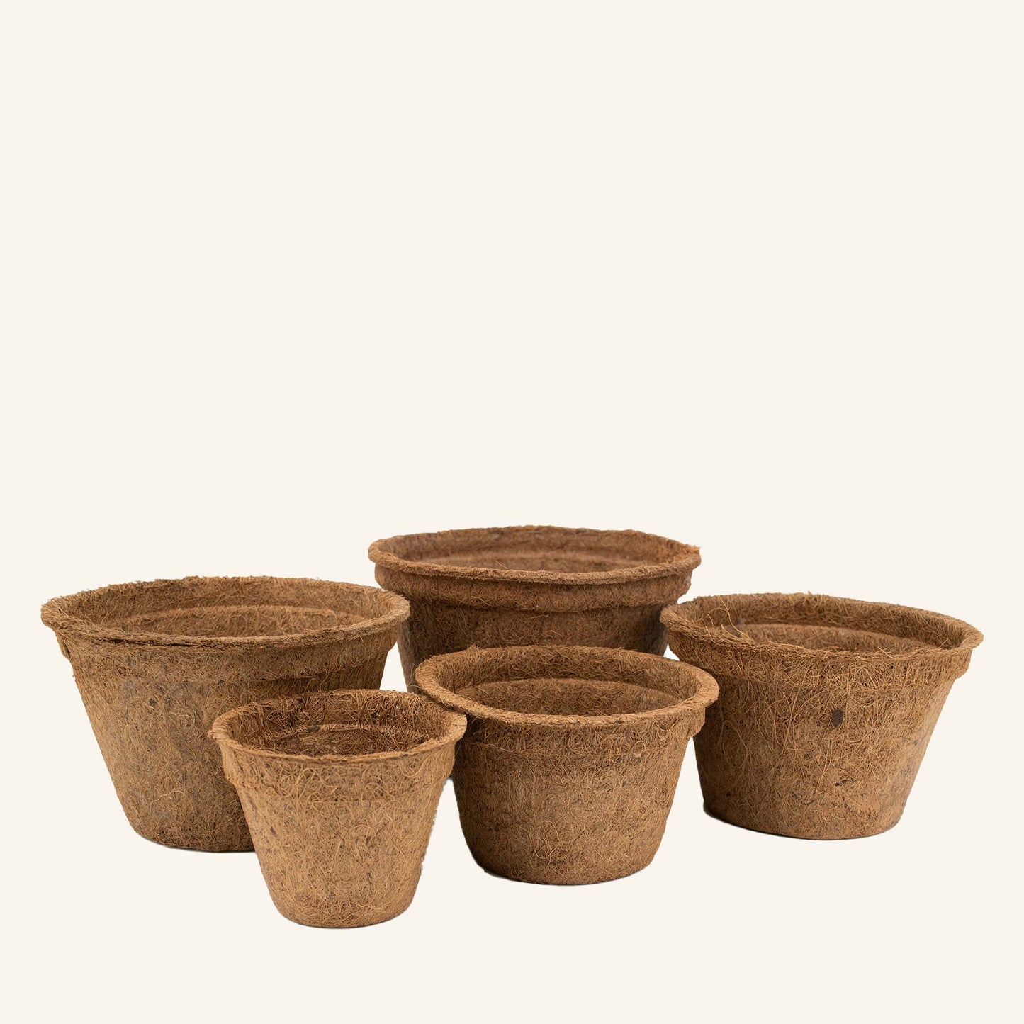 Vasos de coco