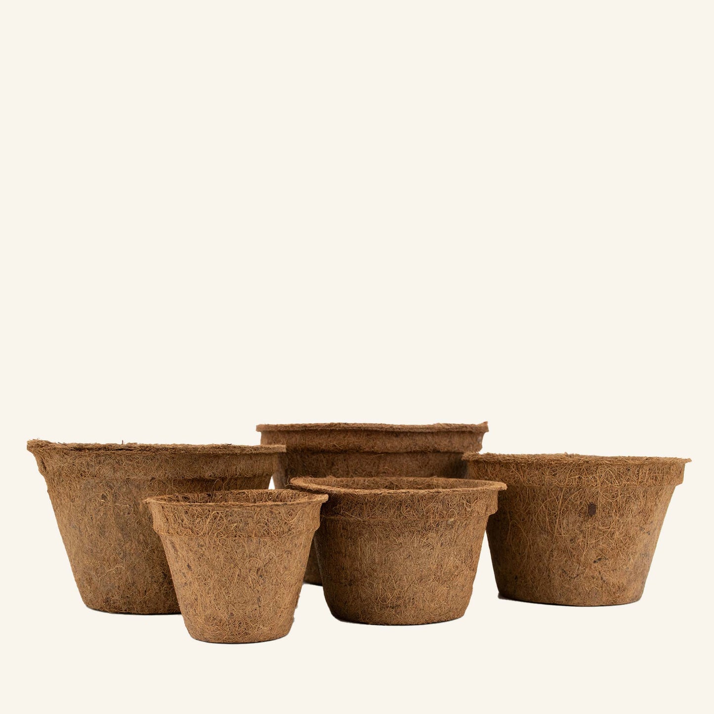 Vasos de coco