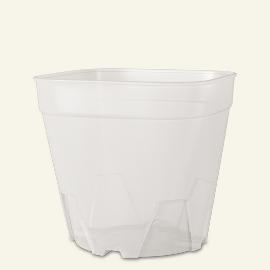 Vasos para cactos e plantas suculentas