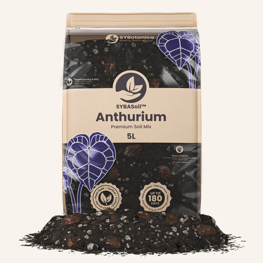 Substrato para Anthurium 5L