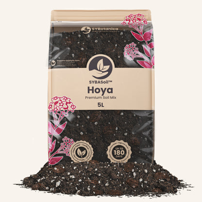 Substrato para Hoya 5L