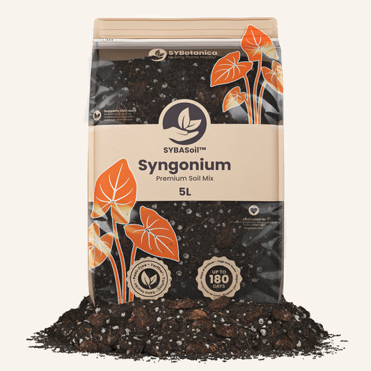 Substrato para Syngonium 5L