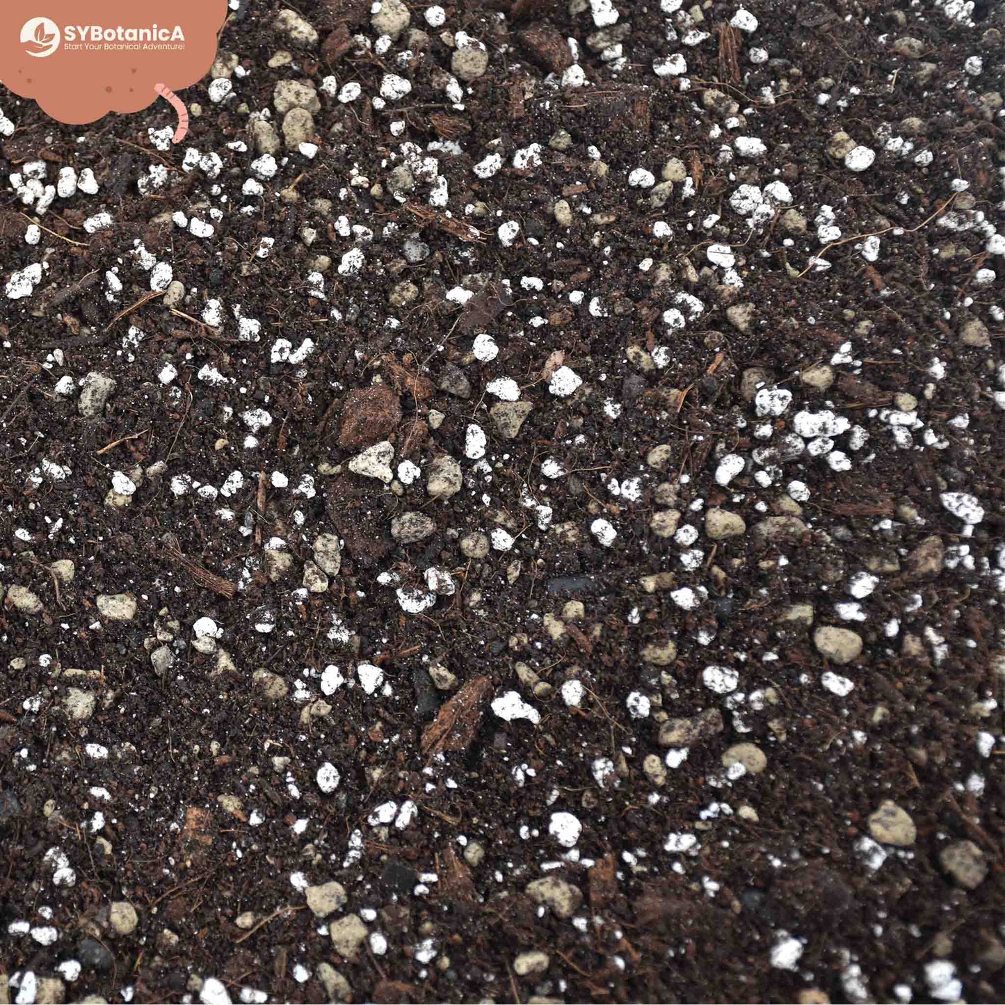 Substrato para Syngonium