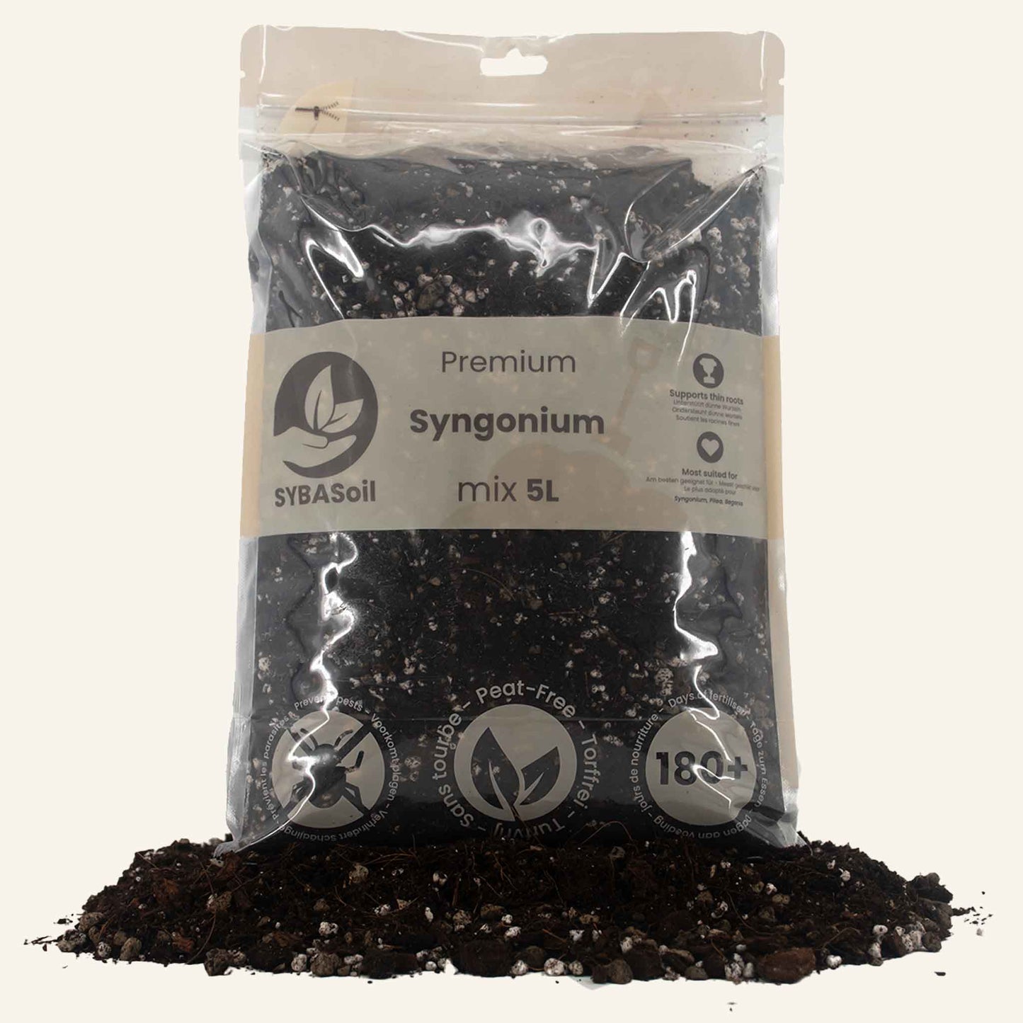 Syngonium Mix 5L